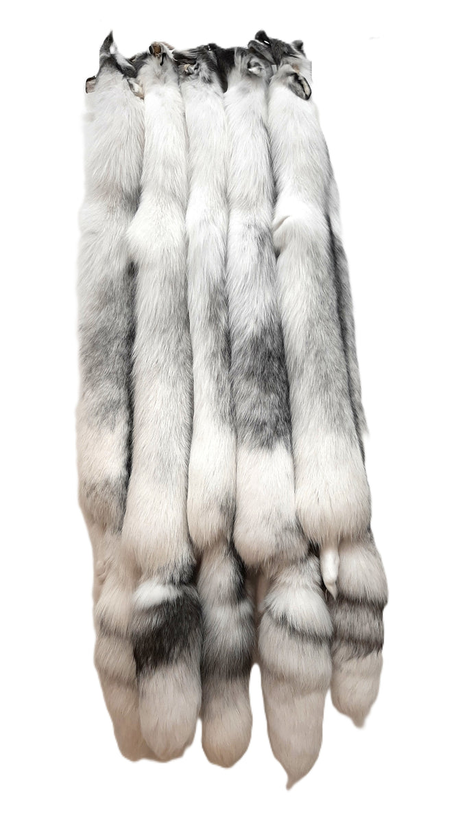 Arctic Marble Fox Pelt – Dakotaline Furs
