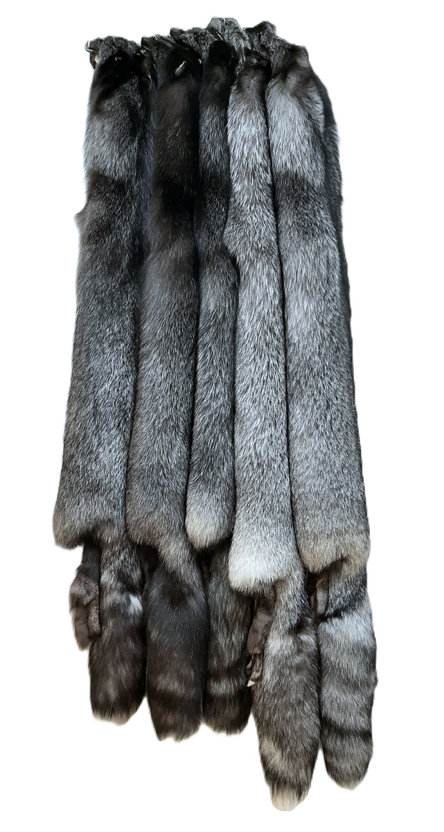 20250227_083552_1200x1200.jpg?