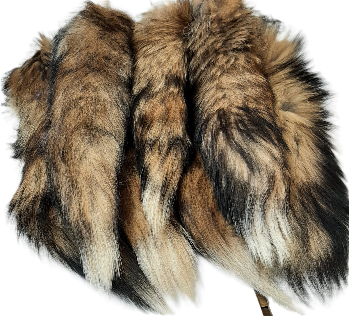 RedTail_Pile_2_copy_1200x1200.
