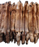 Red Fox Pelt