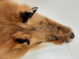 Red Fox Pelt