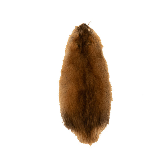 TANNED MUSKRAT COLLECTION
