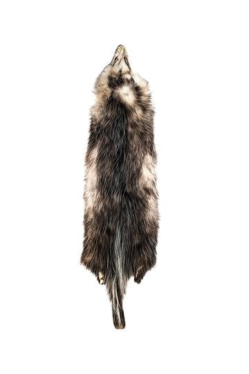 TANNED OPOSSUM COLLECTION