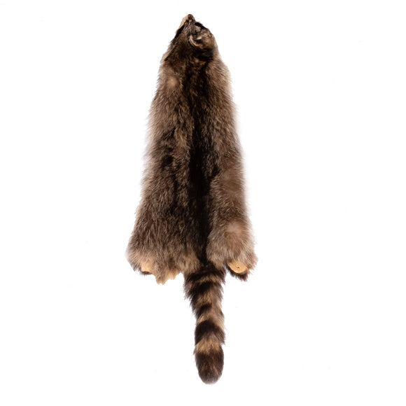 TANNED RACCOON COLLECTION