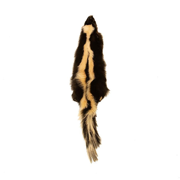 TANNED SKUNK COLLECTION