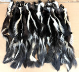 Striped Skunk Pelt