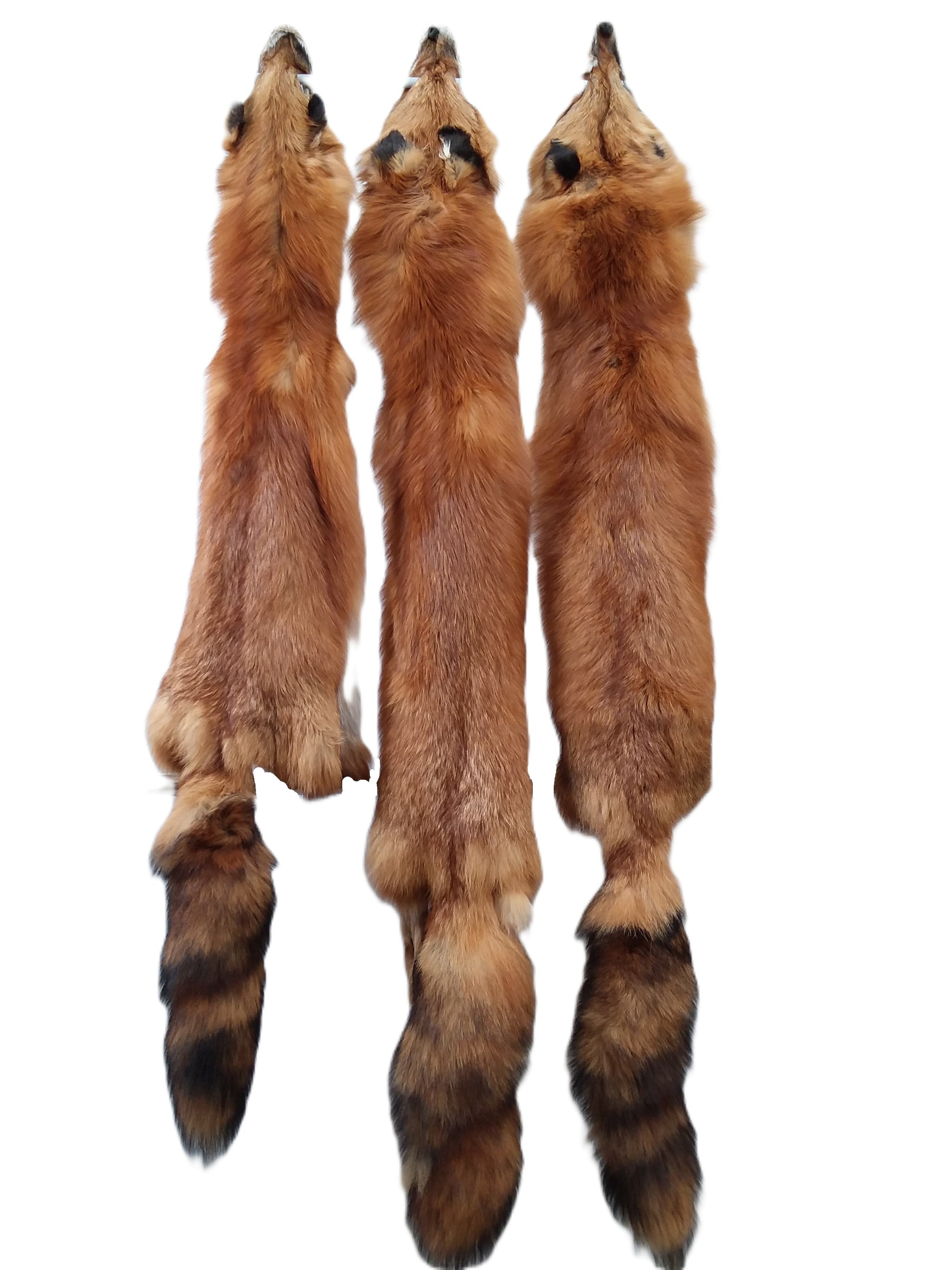 本日SALE！美品【THINK FUR】リバーシブルfox like fur Canadian Red Fox – Dakotaline Furs