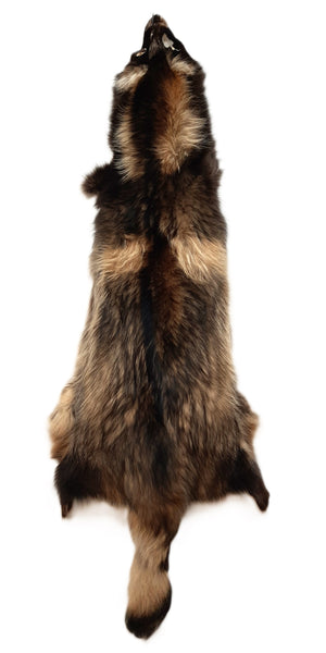 finland raccoon design tippet／品番H／日本製❣️ Genuine Finland Raccoon Large Size Hunting Animal Pelt Fluffy Soft