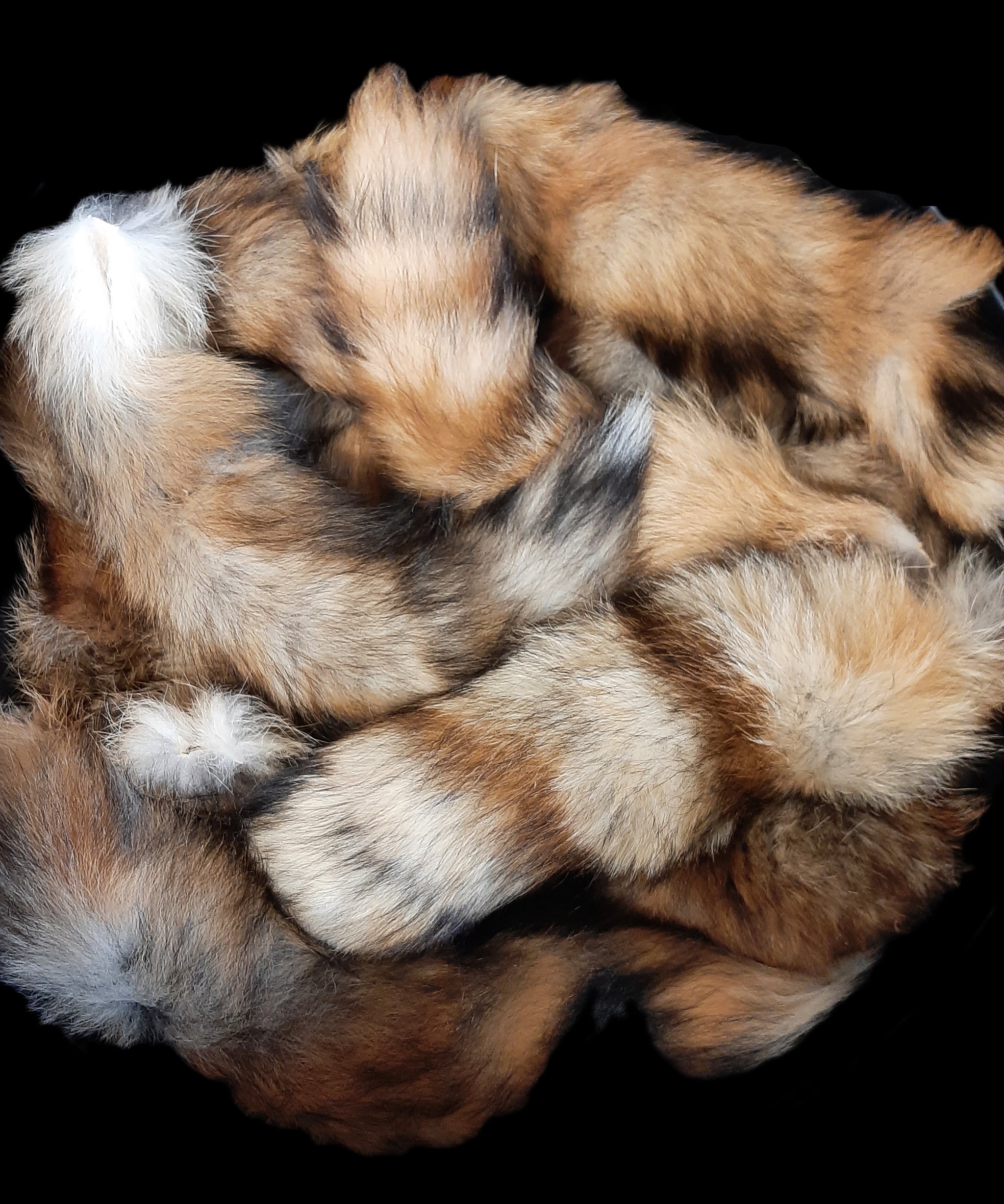 BARGAIN BIN – Dakotaline Furs