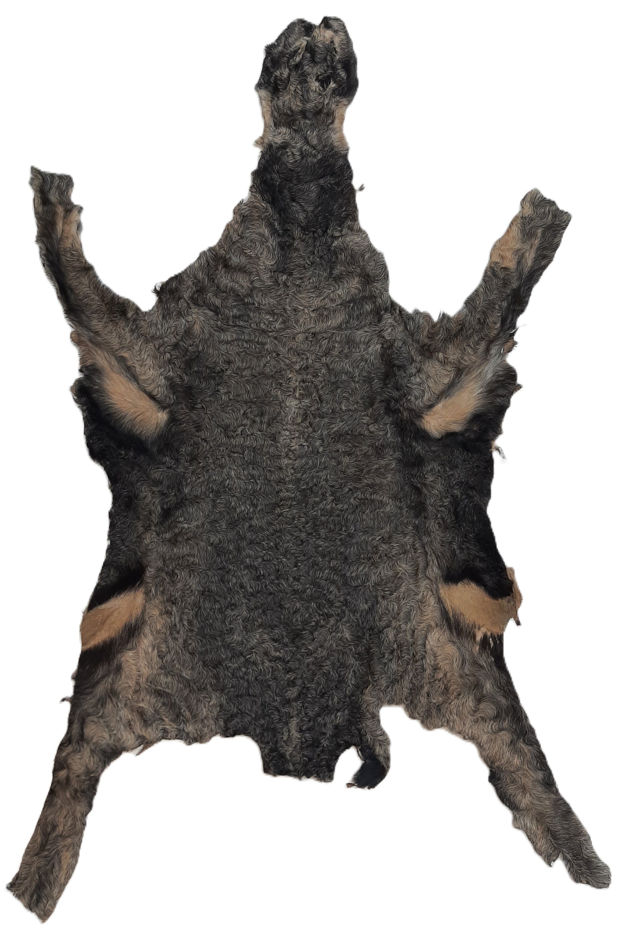 TANNED KARAKUL FUR (Sheep) – Dakotaline Furs