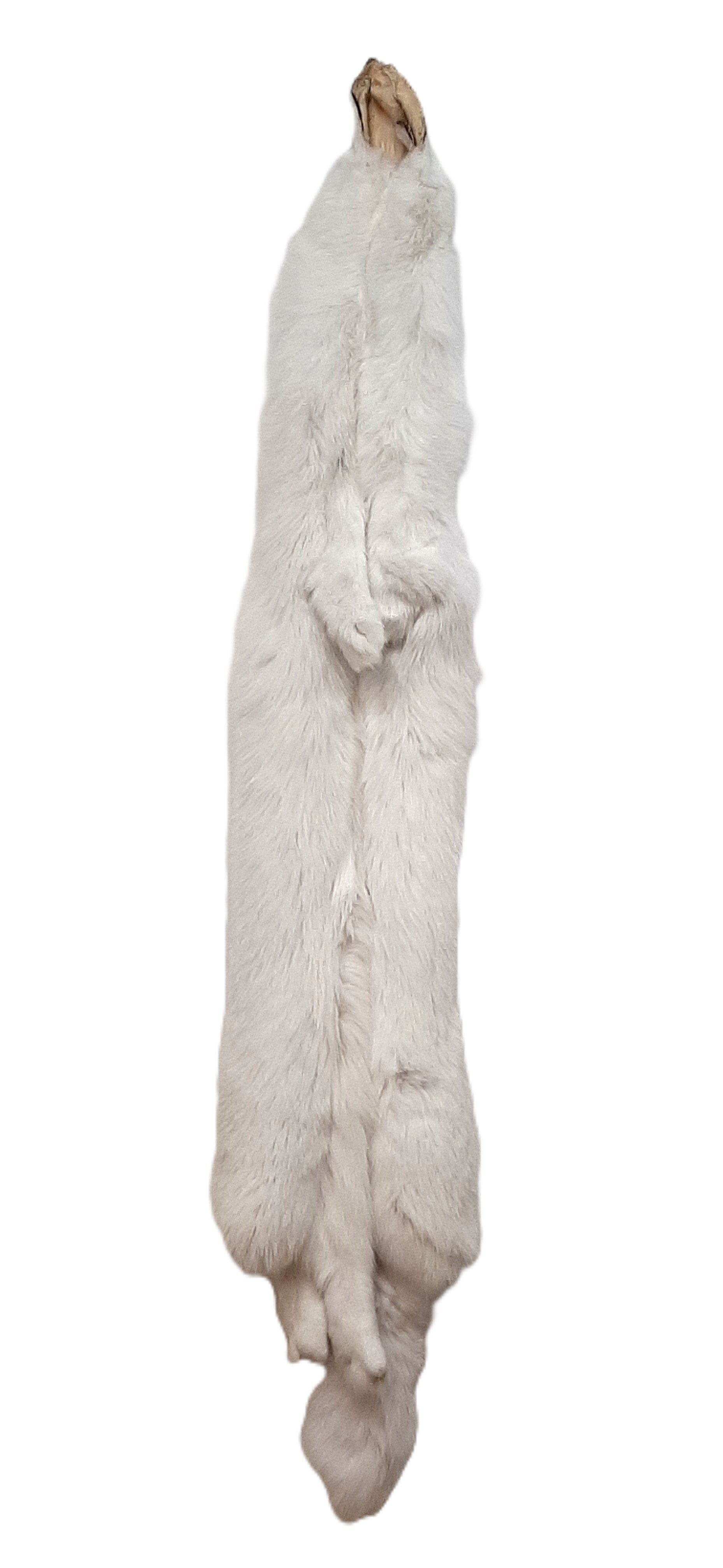 Arctic White Fox Pelt, Ranched – Dakotaline Furs