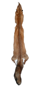 Red Fox, Thin