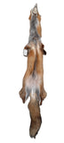Red Fox, Thin