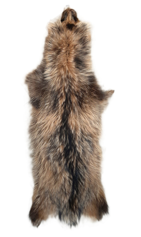 Finn Raccoon Dog Tanuki Fur Pelt (Finland), LG