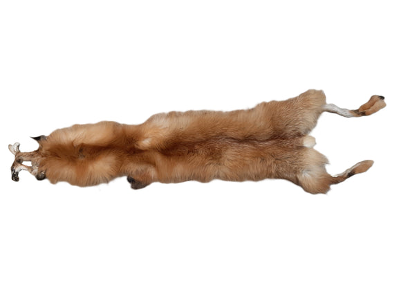 Red Fox Pelt, Heavy Fur, Damaged Grade