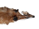 Red Fox Pelt, Damaged Grade