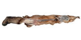Red Fox Pelt, Damaged Grade