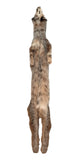 Lynx Pelt