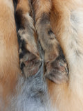 Red Fox with Feet (3)