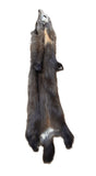 Pine Marten (Sable)