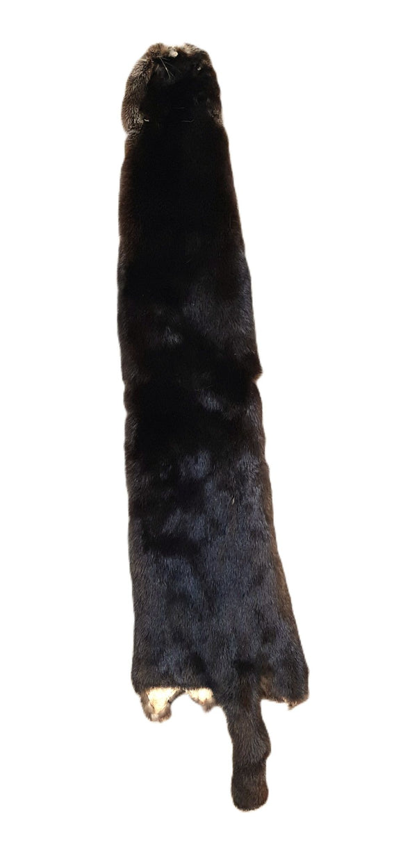 River Otter, Imperfect