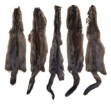 Wild Mink, Female - Damaged Grade