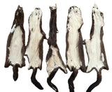 Wild Mink, Female - Damaged Grade