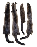Wild Mink, Female - Damaged Grade