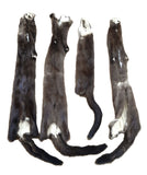 Wild Mink, Female - Damaged Grade