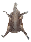 Karakul (Persian Lamb), Silver/Brown