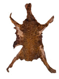 Karakul (Persian Lamb), Rust/Copper