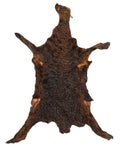 Karakul (Persian Lamb), Rust/Copper
