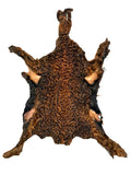 Karakul (Persian Lamb), Rust/Copper