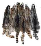 Raccoon, Imperfect Grade
