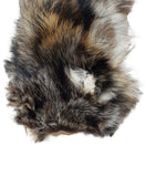 Raccoon, Imperfect Grade