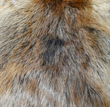 Brown Beaver