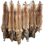 Red Fox Pelt