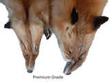 Red Fox Pelt