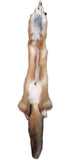 Red Fox Pelt