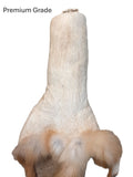 Red Fox Pelt