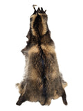 Finn Coon (Takuni) Pelt for Sewing