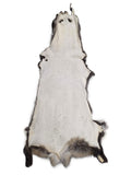Finn Coon (Takuni) Pelt for Sewing
