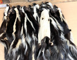 Striped Skunk Pelt