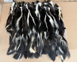Striped Skunk Pelt