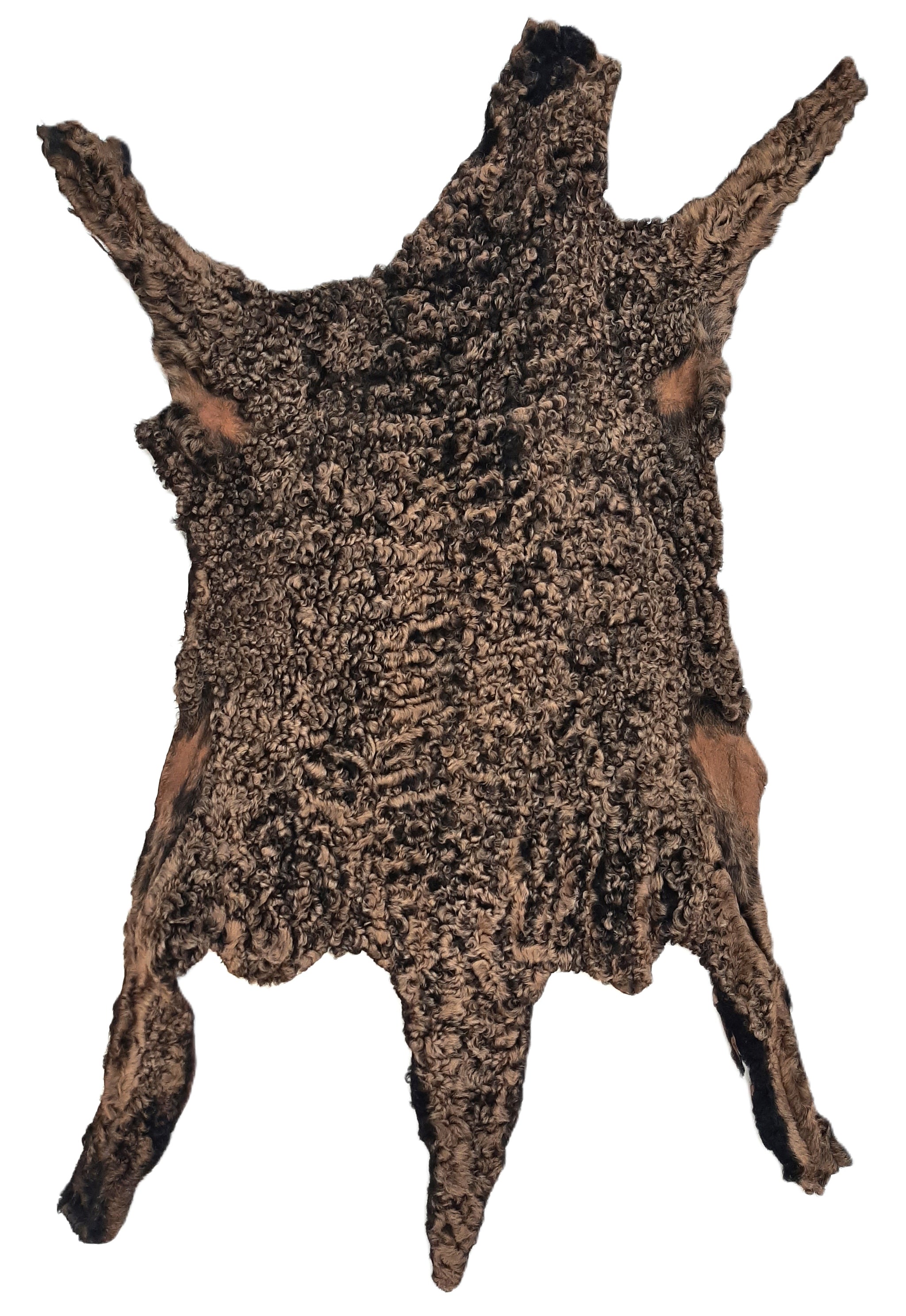 TANNED KARAKUL FUR (Sheep) – Dakotaline Furs