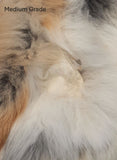 Red Fox Pelt
