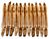 Red Fox Pelt