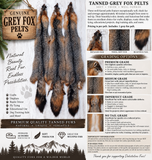 Grey Fox