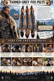 Grey Fox