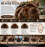 Brown Beaver